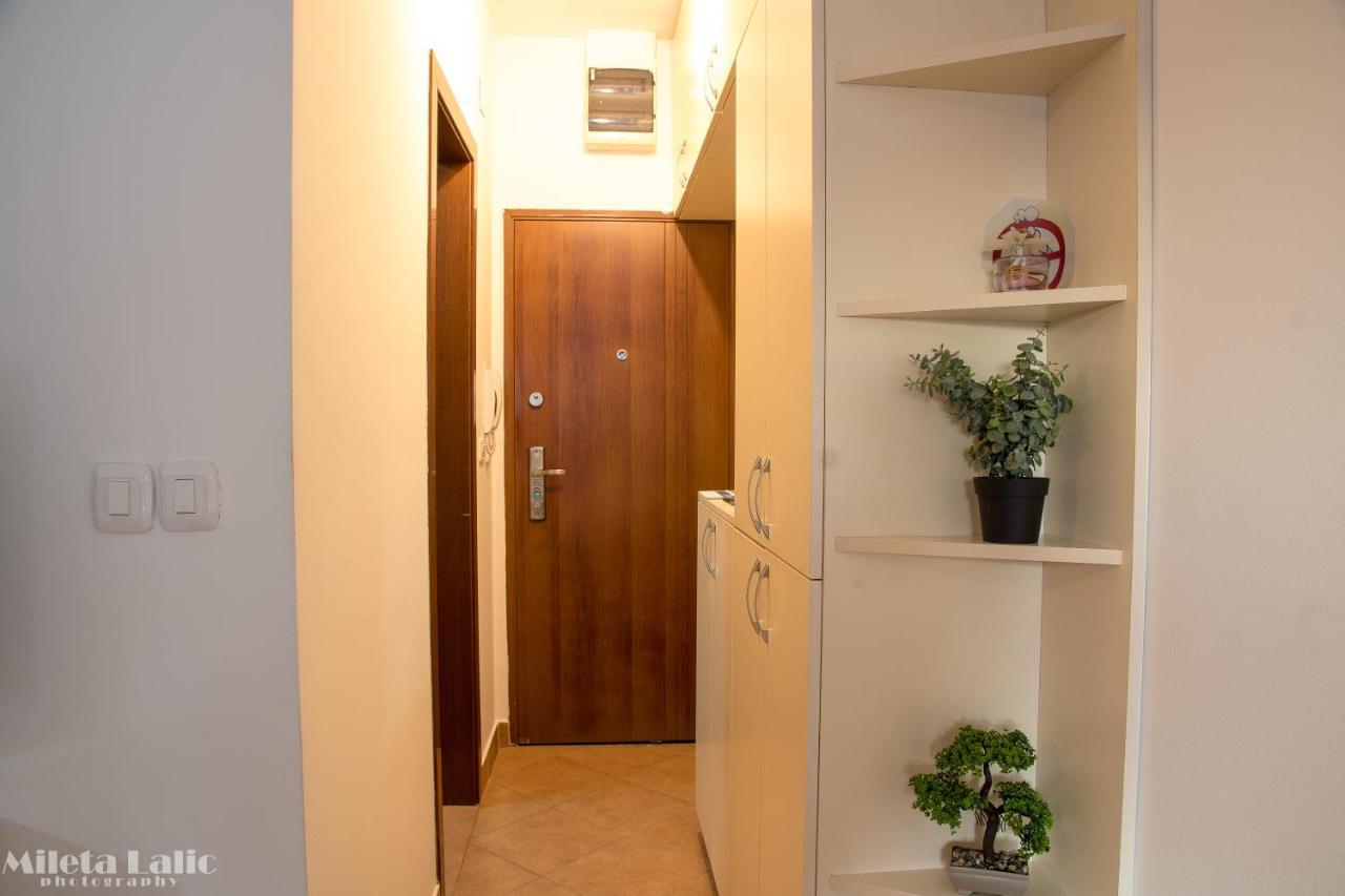 Sunny 412 Apartment Podgorica Extérieur photo